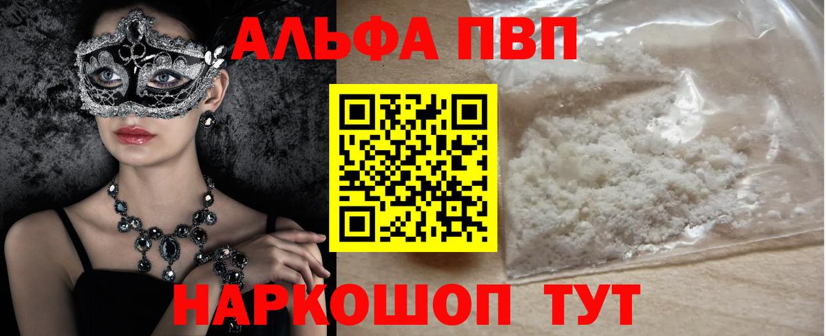 A-PVP СК Великий Новгород