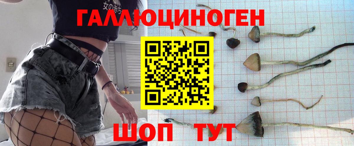 Псилоцибиновые грибы Psilocybine cubensis  купить закладку  Великий Новгород  Вход с VPN 